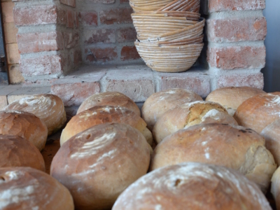 XVI Święta Chleba dzień II