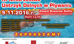 IX Mistrzostwa Ustrzyk Dolnych w pływaniu<br/>fot. Organizatorzy