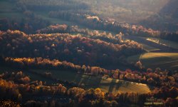 Lasy bukowe BdPN - propozycja włączenia na listę Światowego Dziedzictwa UNESCO - konsultacje społeczne<br/>fot. Zygmunt Krasowski