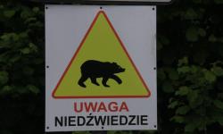 Leśnicy ostrzegają - Uwaga! Niedźwiedzie!<br/>fot. RDLP Krosno