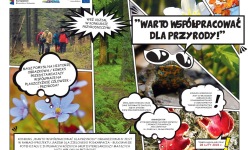 Konkurs komiksowy „Warto współpracować dla przyrody”<br/>fot. organizatorzy