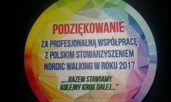 N-W. MEDALE DLA ZAWODNIKÓW, WYRÓŻNIENIE DLA PREZESA! <br/>fot. FB/Bieszczadzki Klub Nordic Walking