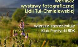 Bieszczadzkie łąki w fotografii i poezji<br/>fot. Organizatorzy