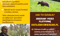 Ludzie mogliby żyć spokojnie w krainie niedźwiedzi<br/>fot. mat.pras.