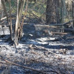 Kolejny pożar lasu w Bieszczadach 