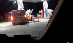 Chciał wysadzić stację benzynową<br/>fot. Sanok112.pl