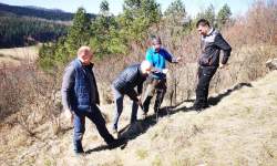 7 hektarów oczyścili w kilka godzin - wielka akcja w Lesku!