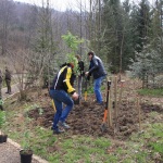  Studenci sadzili las w Bieszczadach