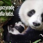 Tajemnice turnickich lasów<br/>fot. WWF Polska
