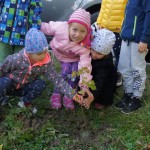 Święto Drzewa w przedszkolu nr 1 w Ustrzykach Dolnych - ZDJĘCIA