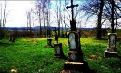 Cmentarz przy cerkwi w Bystrem<br/>fot. Paulina Bajda