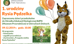 Zapraszamy na urodziny Rysia Pędzelka<br/>fot. organizatorzy