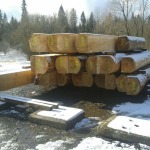 Drewno na przebudowę Chatki Puchatka czeka na obróbkę