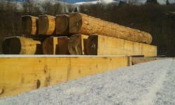 Drewno na przebudowę Chatki Puchatka czeka na obróbkę