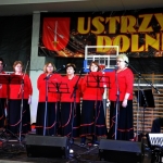Zespół "Echo Ustrzyk"<br/>fot. M.S. Mazurkiewicz
