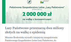 Lasy wspierają służbę zdrowia<br/>fot. scrn MŚ