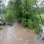 Wojewoda ogłosiła alarm przeciwpowodziowy - FOTO