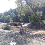 Szkody powodziowe w podkarpackich lasach