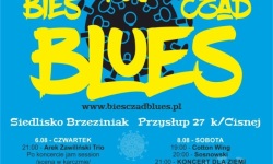 Zapraszamy na XV Bies Czad Blues Festiwal<br/>fot. organizatorzy