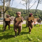 „Strajk niedźwiedzi” - aktywiści protestowali w Mucznem