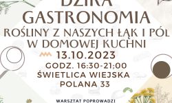Dzika Gastronomia - Polana zaprasza na bezpłatne warsztaty<br/>fot. organizator